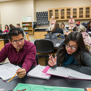 students studying at table